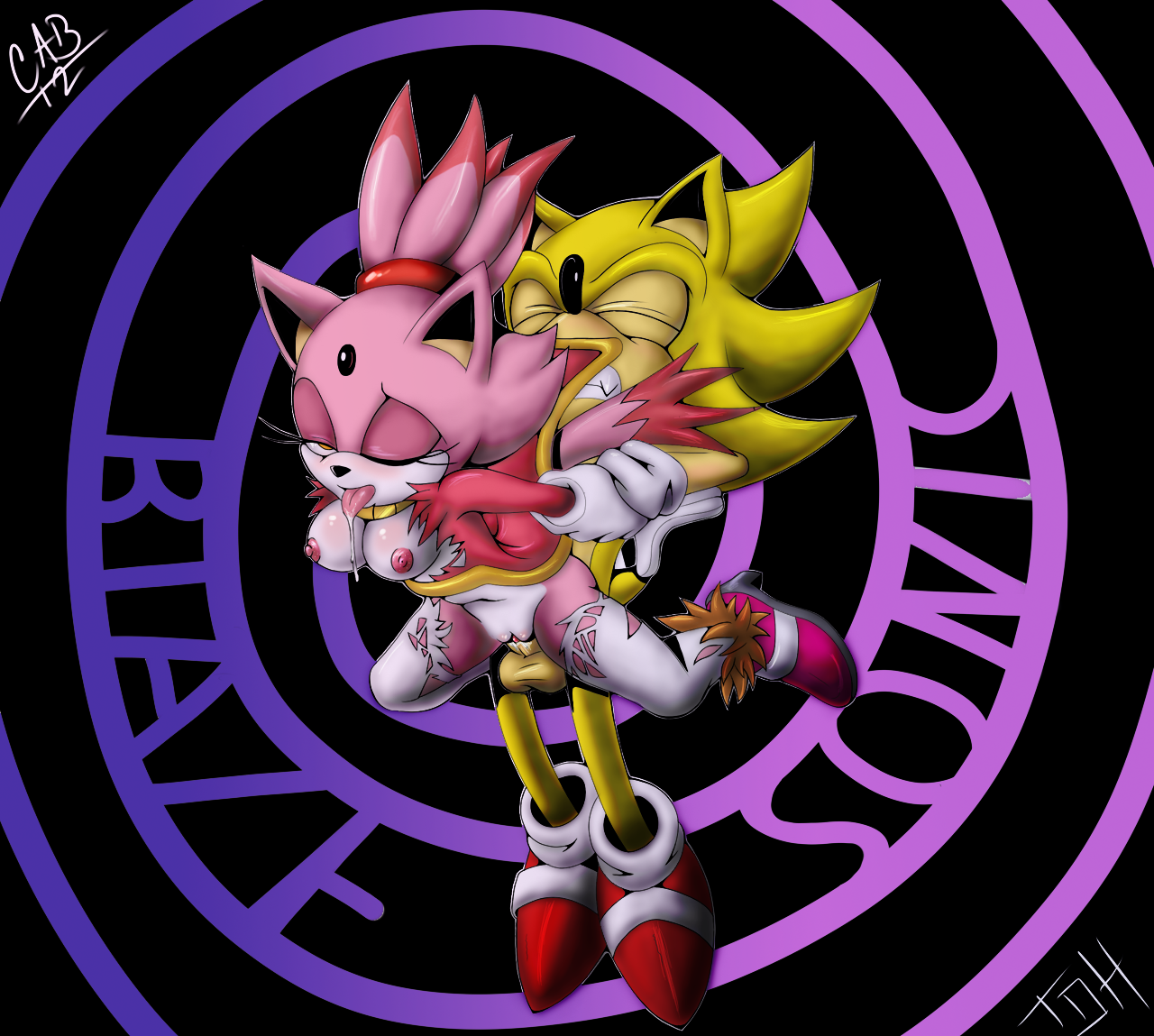 Rule34 – If it exists, there is porn of it / the other half, blaze the cat, burning blaze, sonic the hedgehog, super sonic / 26571