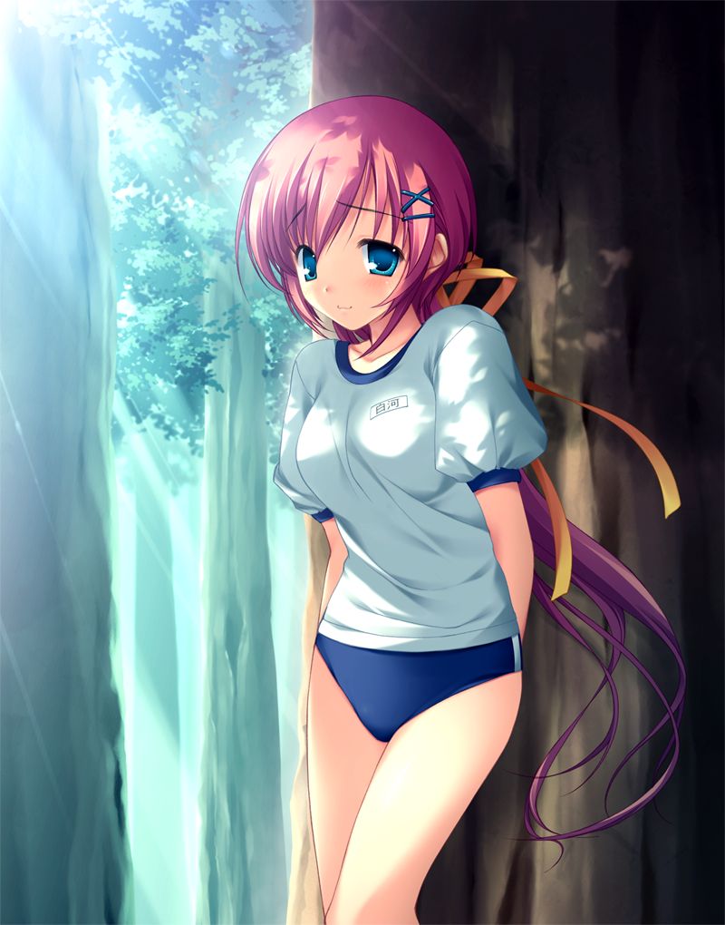 yaegashi nan, shirakawa nanaka, da capo, da capo ii, game cg, 00s, 1girl, blue eyes, buruma, female focus, gym uniform, hair ornament, hairclip, pink hair, ribbon, solo, sportswear, spring celebration