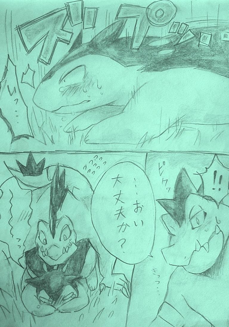 Rule34 – If it exists, there is porn of it / feraligatr, typhlosion / 27213
