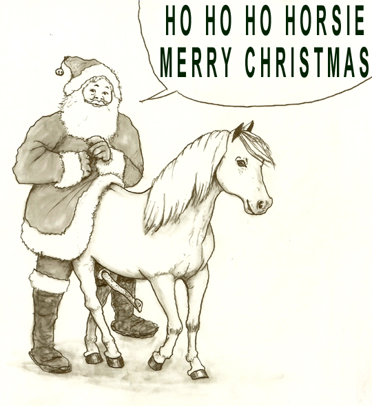 Rule34 – If it exists, there is porn of it / santa claus / 27258