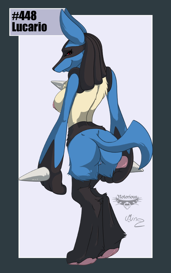 Rule34 – If it exists, there is porn of it / mingchee, notorious84, lucario / 27315