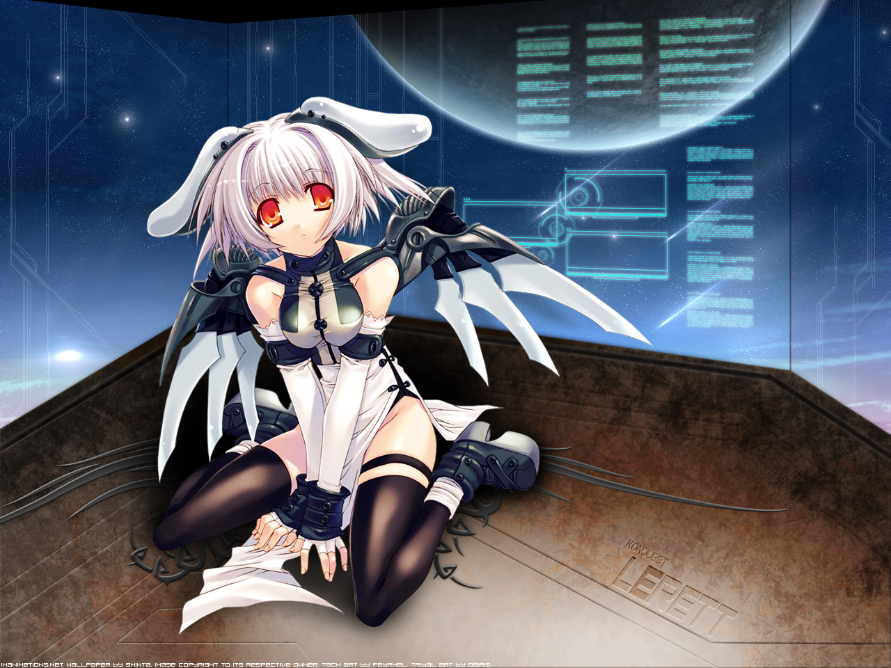 platform footwear, animal ears, brown eyes, detached sleeves, mechanical wings, robot, solo, space, thighhighs, white hair, wings