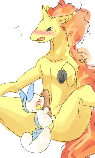 Rule34 – If it exists, there is porn of it / pachirisu, rapidash / 27820