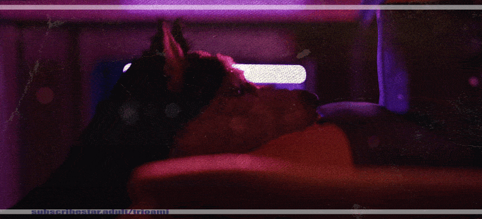 Rule34 – If it exists, there is porn of it / trioami260 / 8641263
