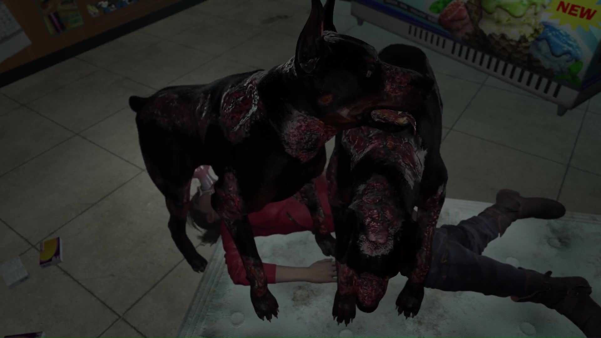 Rule34 – If it exists, there is porn of it / darktronicksfm, cerberus (resident evil), claire redfield, zombie dog / 8641284