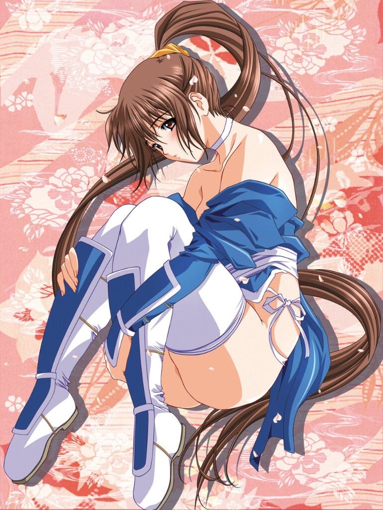kasumi (doa), dead or alive, tecmo, non-web source, 1girl, bare shoulders, blush, brown hair, collar, elbow gloves, female focus, gloves, long hair, no panties, pelvic curtain, ponytail, solo, thighhighs