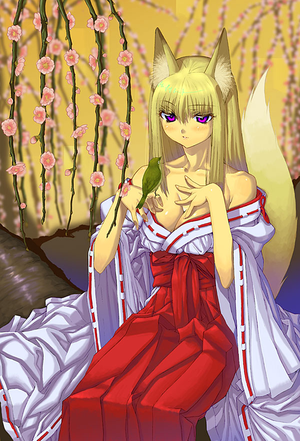 kink (tortoiseshell), original, 1girl, animal ears, bare shoulders, bird, bird on hand, blonde hair, breasts, cherry blossoms, cleavage, female focus, flower, fox, fox ears, fox tail, hakama, hakama skirt, hand on own chest, in tree, japanese clothes, kimono, large breasts, long hair, miko, off shoulder, purple eyes, red hakama, ribbon-trimmed sleeves, ribbon trim, sitting, sitting in tree, skirt, solo, tail, tree, undressing, wide sleeves
