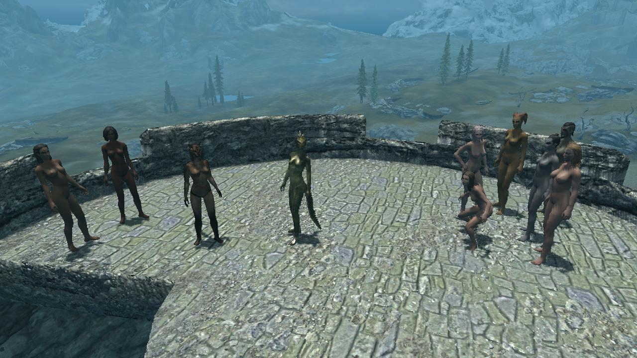 Rule34 – If it exists, there is porn of it / altmer, argonian, borgakh the steel heart, bosmer, brelyna maryon, breton, dunmer, faralda, imperial, khajiit, mjoll the lioness, nord, redguard, shahvee, vex, vivienne onis / 28609