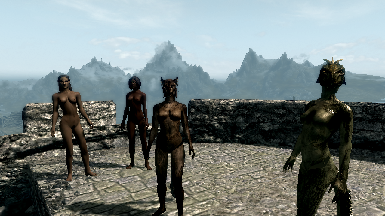 Rule34 – If it exists, there is porn of it / argonian, bosmer, khajiit, redguard, shahvee / 28610
