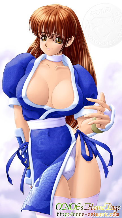 onoe, kasumi (doa), dead or alive, tecmo, 1girl, breasts, brown hair, collar, female focus, huge breasts, large breasts, panties, pelvic curtain, solo, thighhighs, underwear