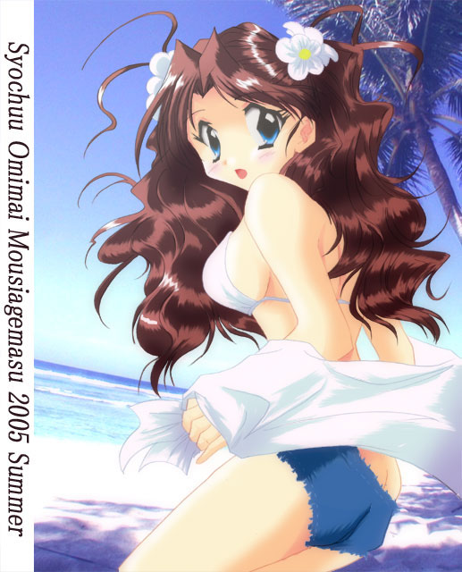 kadoi aya, shirai yuuri, kakyuusei (series), kakyuusei 2, 1girl, beach, bikini, blue bikini, blue eyes, brown hair, cutoffs, day, denim, denim shorts, female focus, long hair, outdoors, shorts, solo, swimsuit