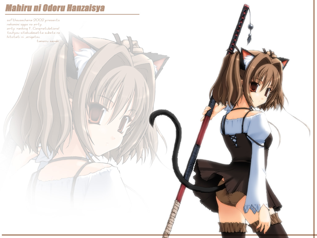 sasaki tamaru, 1girl, animal ears, brown eyes, brown hair, cat ears, cat tail, clothes writing, female focus, panties, print panties, skirt, solo, staff, sword, tail, thighhighs, underwear, weapon, zoom layer