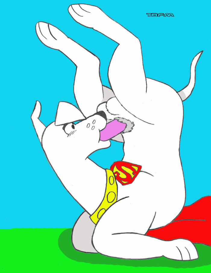 Rule34 – If it exists, there is porn of it / tbfm, krypto / 29335