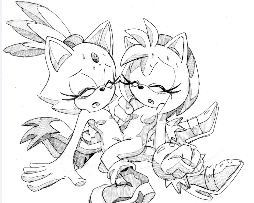 Rule34 – If it exists, there is porn of it / amy rose, blaze the cat / 30342