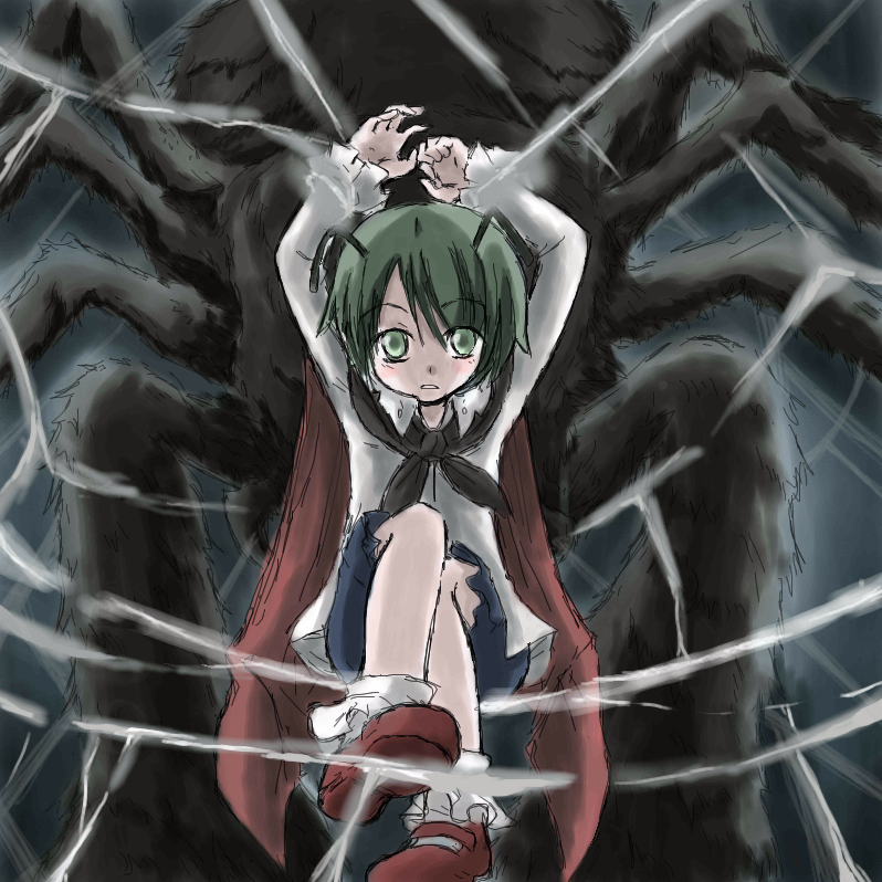 wriggle nightbug, touhou, 1girl, antennae, bug, cape, female focus, green eyes, green hair, matching hair/eyes, silk, solo, spider, spider web