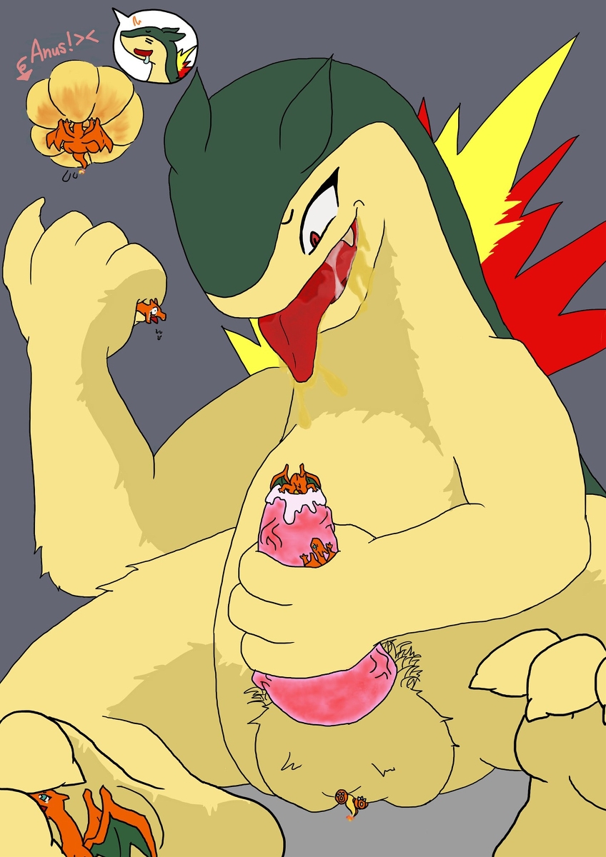 Rule34 – If it exists, there is porn of it / charizard, typhlosion / 30539