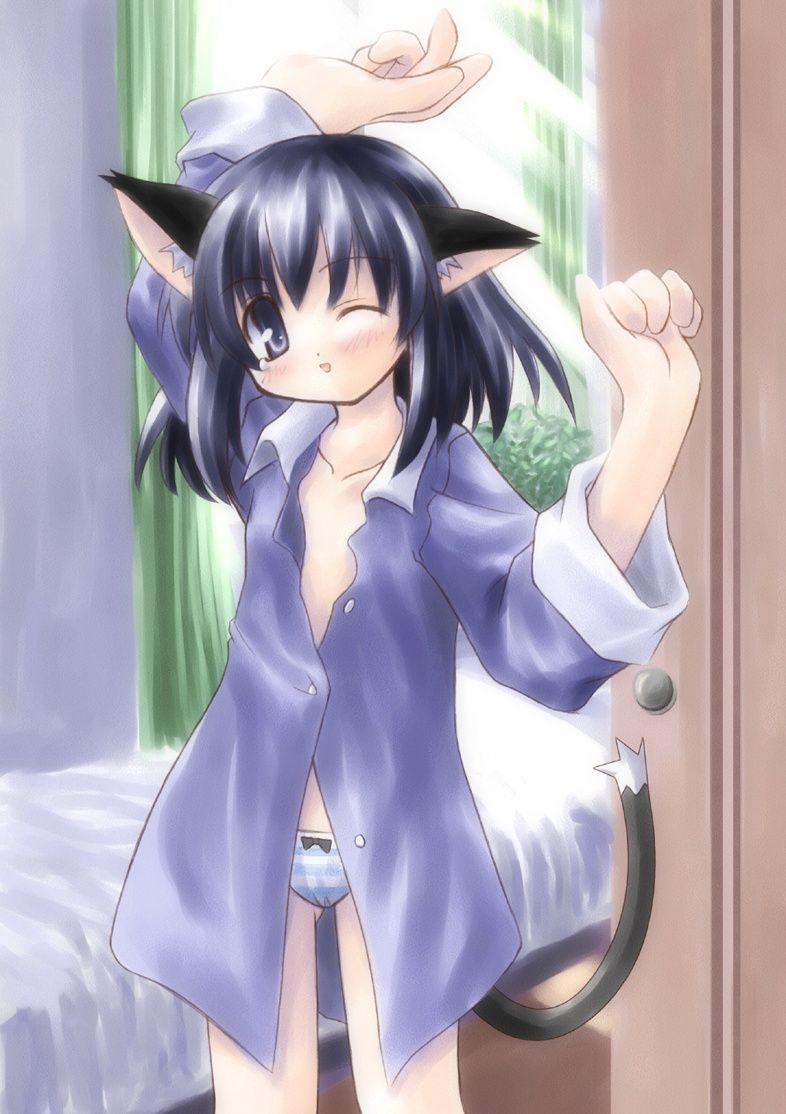 animal ears, blue eyes, blue hair, blush, cat ears, cat tail, open clothes, open shirt, panties, pantyshot, shirt, solo, tail, underwear