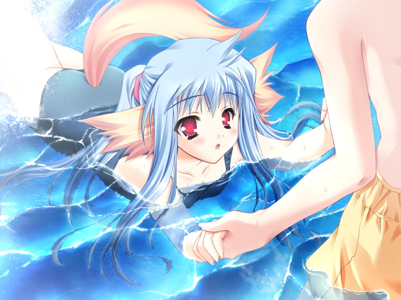 moekibara fumitake, shikishima krile, nursery rhyme, game cg, 1girl, :o, animal ears, blue hair, blush, dog ears, flat chest, holding hands, long hair, one-piece swimsuit, open mouth, red eyes, school swimsuit, solo focus, swimsuit, tail, wading, water