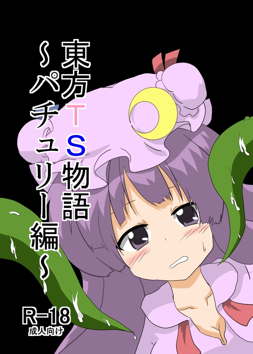 Rule34 – If it exists, there is porn of it / koakuma, patchouli knowledge / 31377
