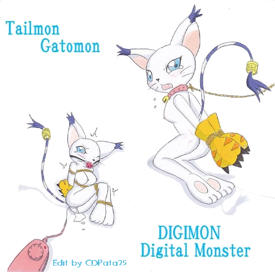 Rule34 – If it exists, there is porn of it / gatomon / 31459
