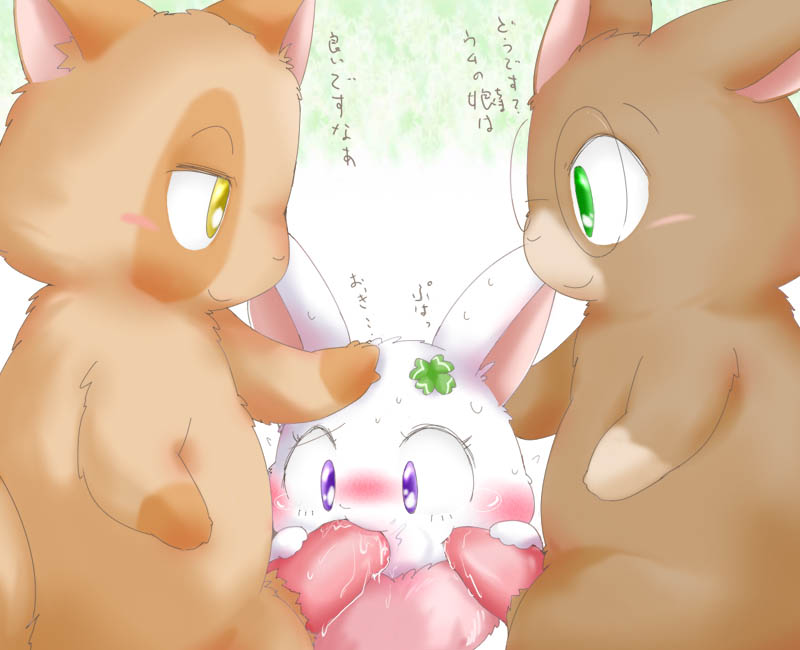 Rule34 – If it exists, there is porn of it / chima / 31558