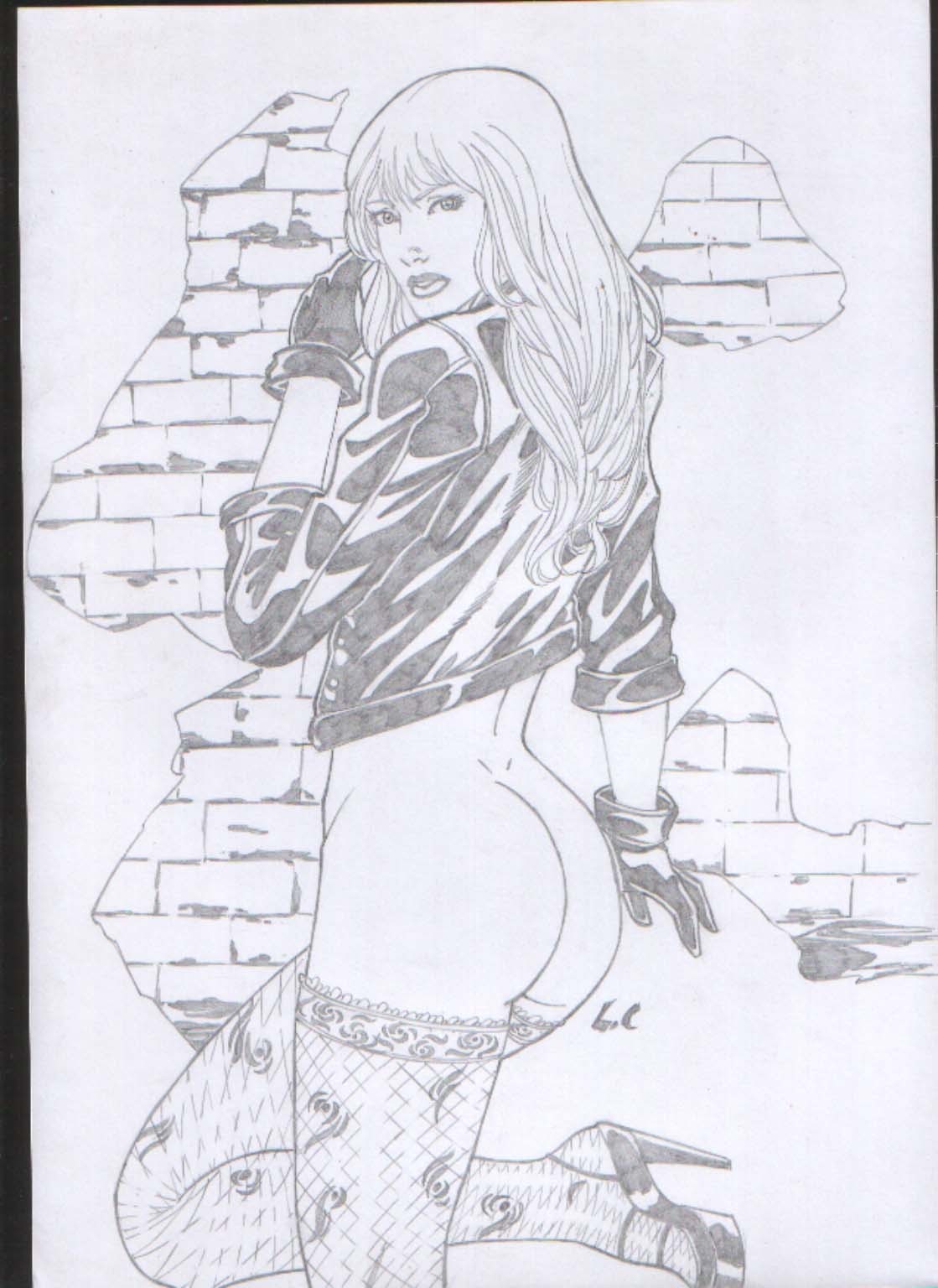 Rule34 – If it exists, there is porn of it / luiz carlos, black canary / 31945