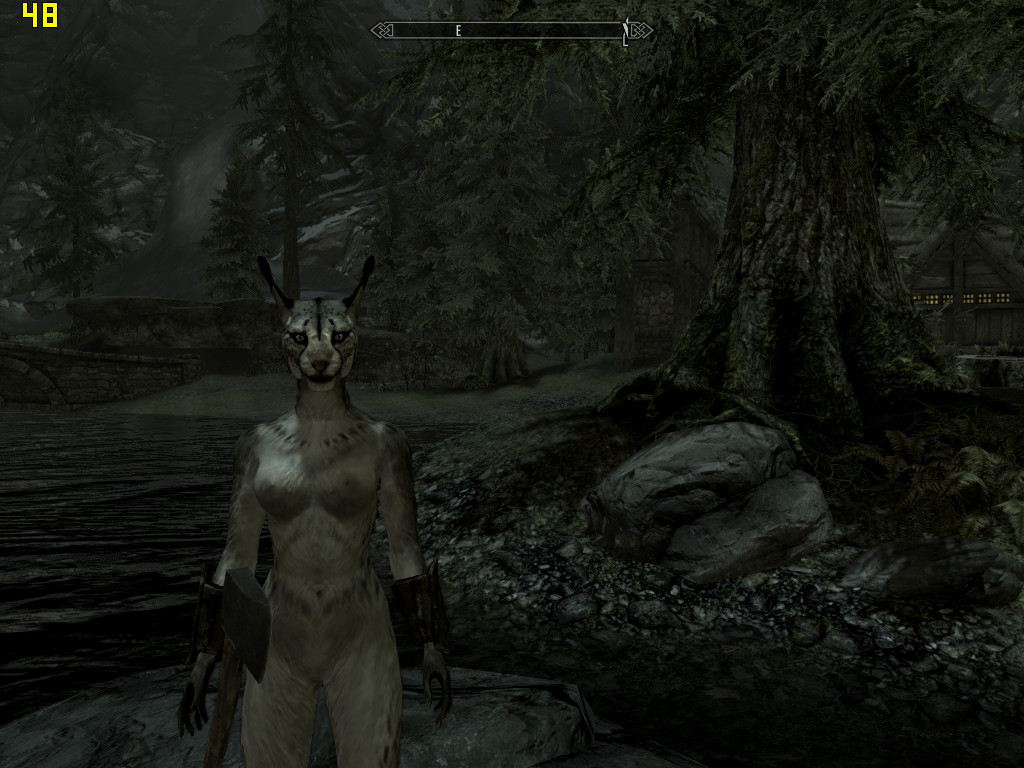 Rule34 – If it exists, there is porn of it / raziel666, khajiit / 32198