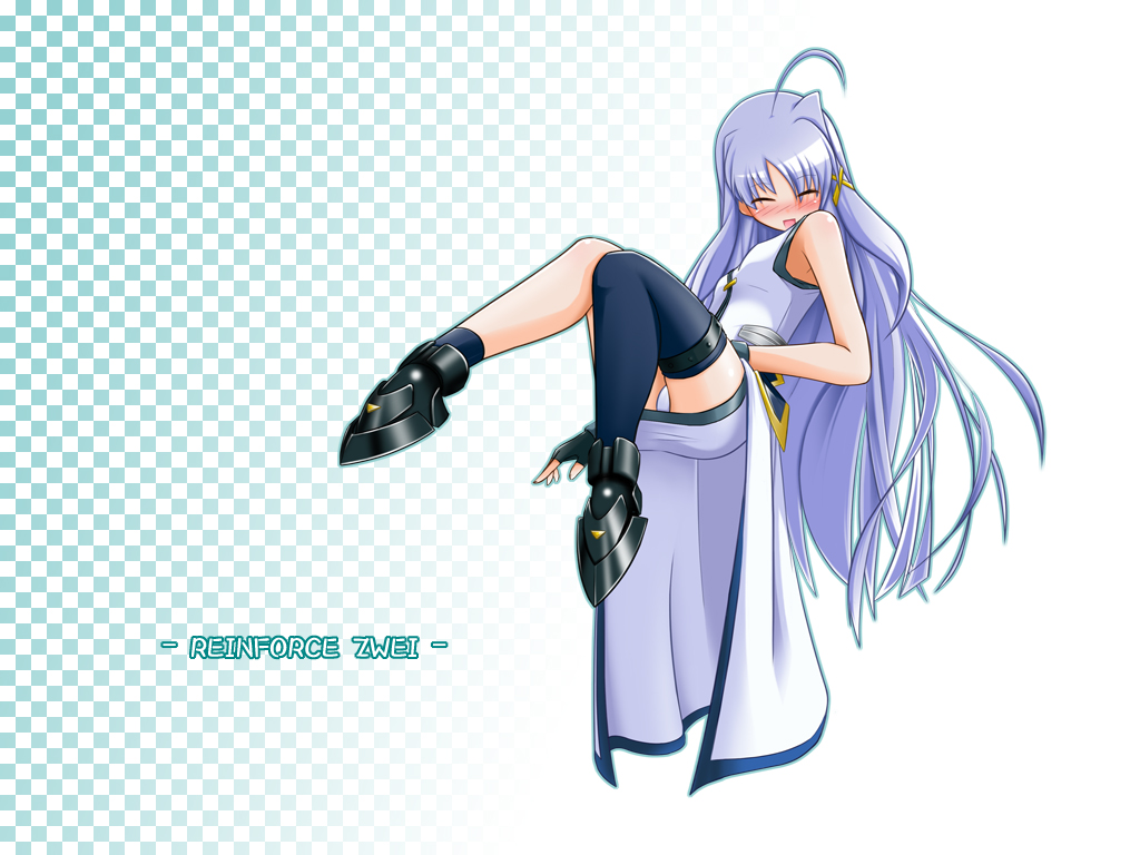 namuru, num, reinforce zwei, lyrical nanoha, mahou shoujo lyrical nanoha, mahou shoujo lyrical nanoha strikers, 00s, 1girl, ahoge, asymmetrical clothes, asymmetrical legwear, blue hair, blush, character name, closed eyes, female focus, fingerless gloves, gloves, hair ornament, long hair, magical girl, panties, single thighhigh, solo, thighhighs, underwear, uneven legwear, waist cape, x hair ornament