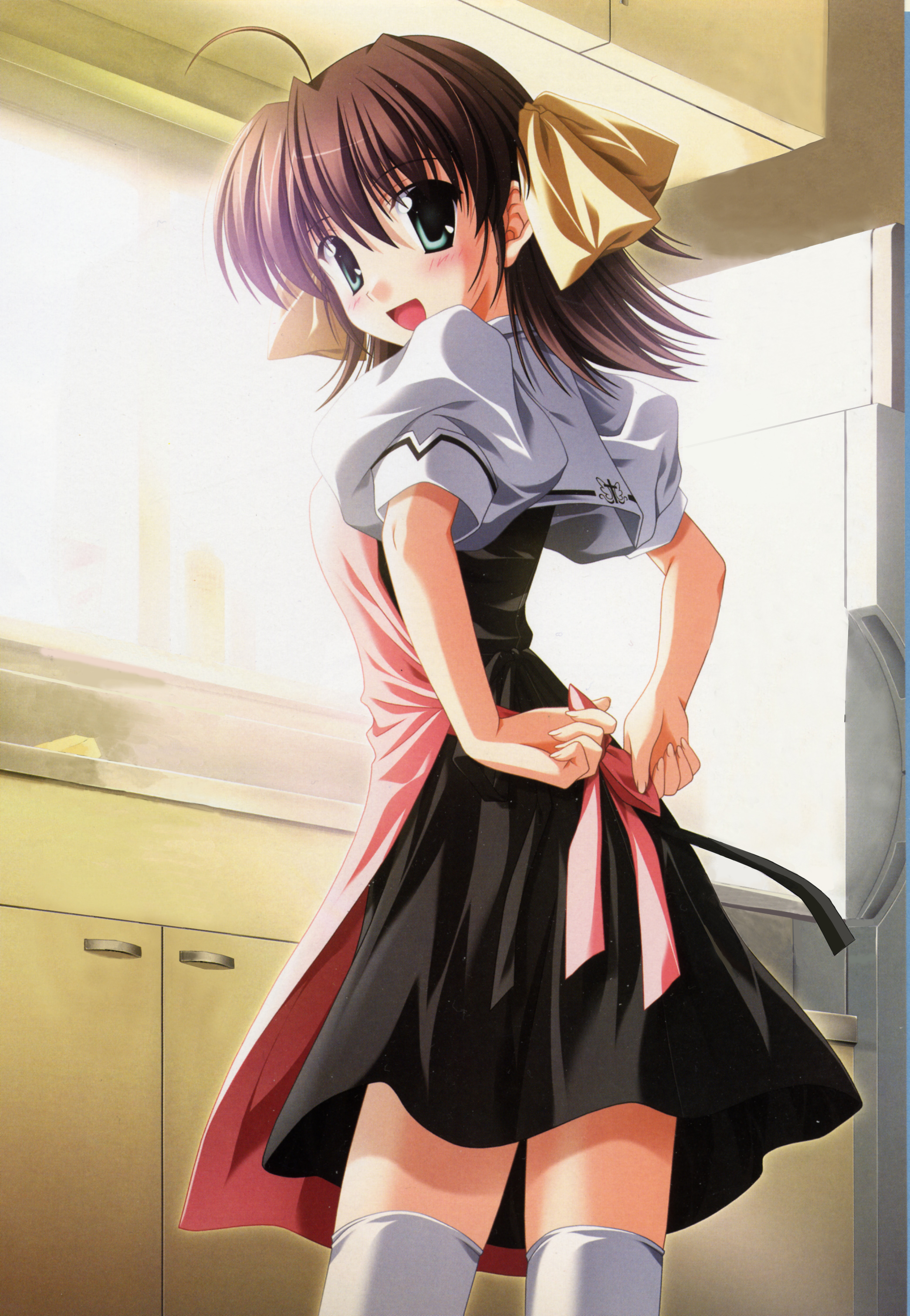 nanao naru, miyamura miyako, ef (visual novel), absurdres, highres, 00s, apron, blush, brown hair, ribbon, smile, solo, thighhighs