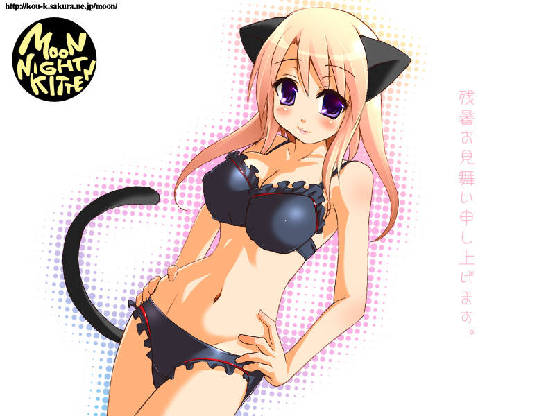 kouki kuu, original, 1girl, animal ears, bra, cat ears, female focus, lingerie, panties, solo, underwear, underwear only