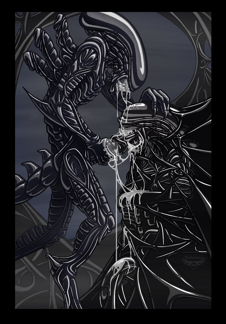 Rule34 – If it exists, there is porn of it / xenomorph / 33009