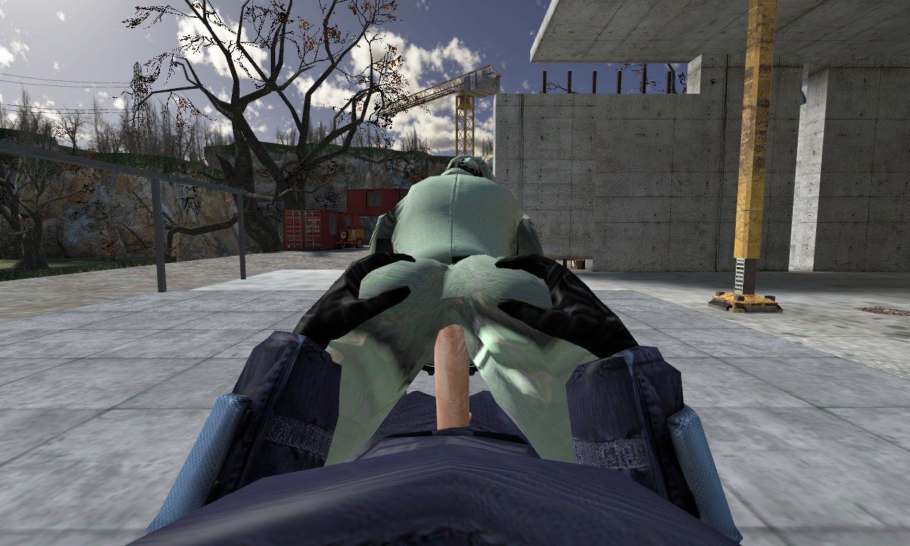 Rule34 – If it exists, there is porn of it / combine assassin / 33271