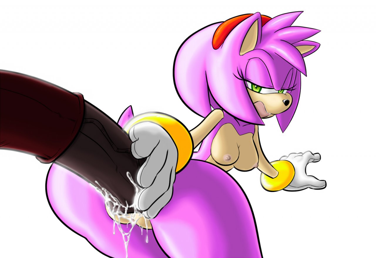 Rule34 – If it exists, there is porn of it / ravnic, amy rose / 33681