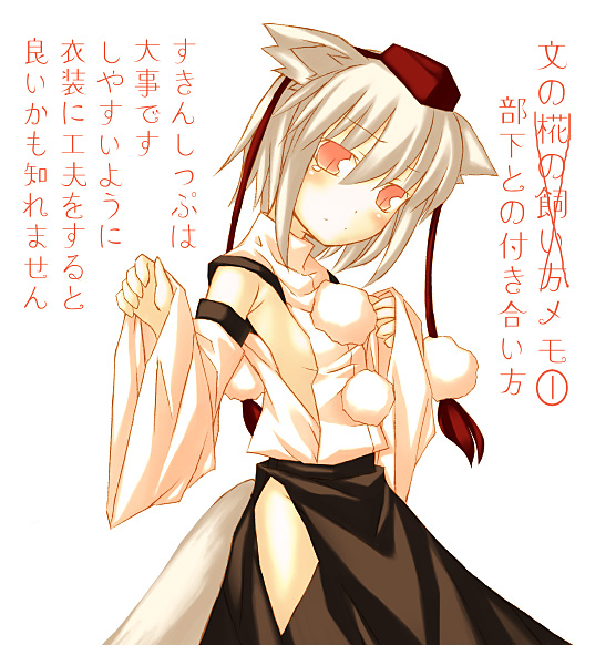 nu (plastic eraser), inubashiri momiji, touhou, silver hair, translated, 1girl, animal ears, breasts, detached sleeves, female focus, hat, sideboob, small breasts, solo