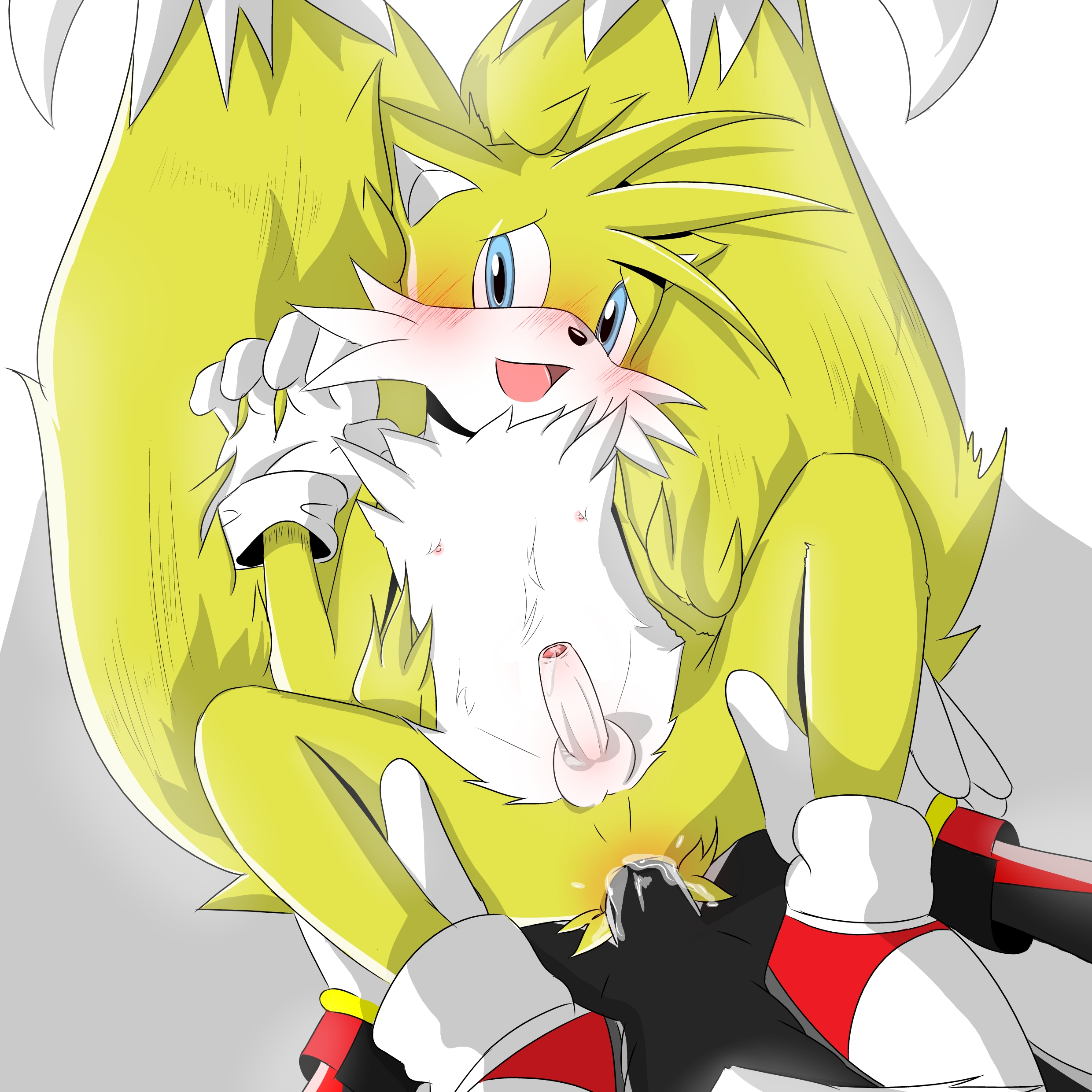 Rule34 – If it exists, there is porn of it / ketzio11, shadow the hedgehog, tails / 34475