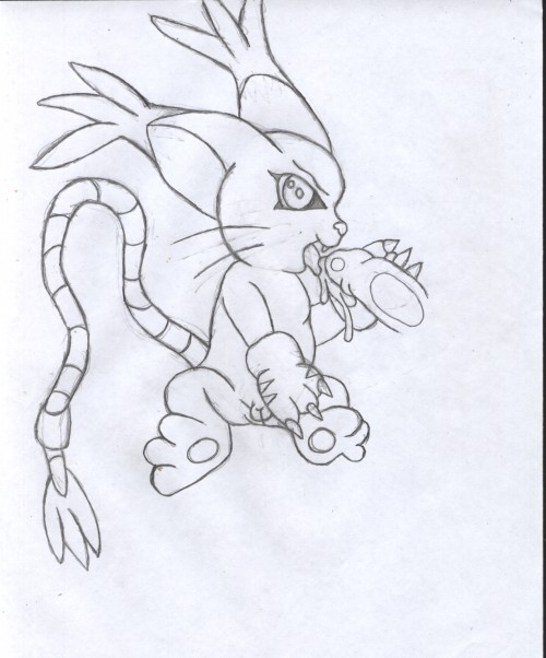 Rule34 – If it exists, there is porn of it / gatomon / 34657