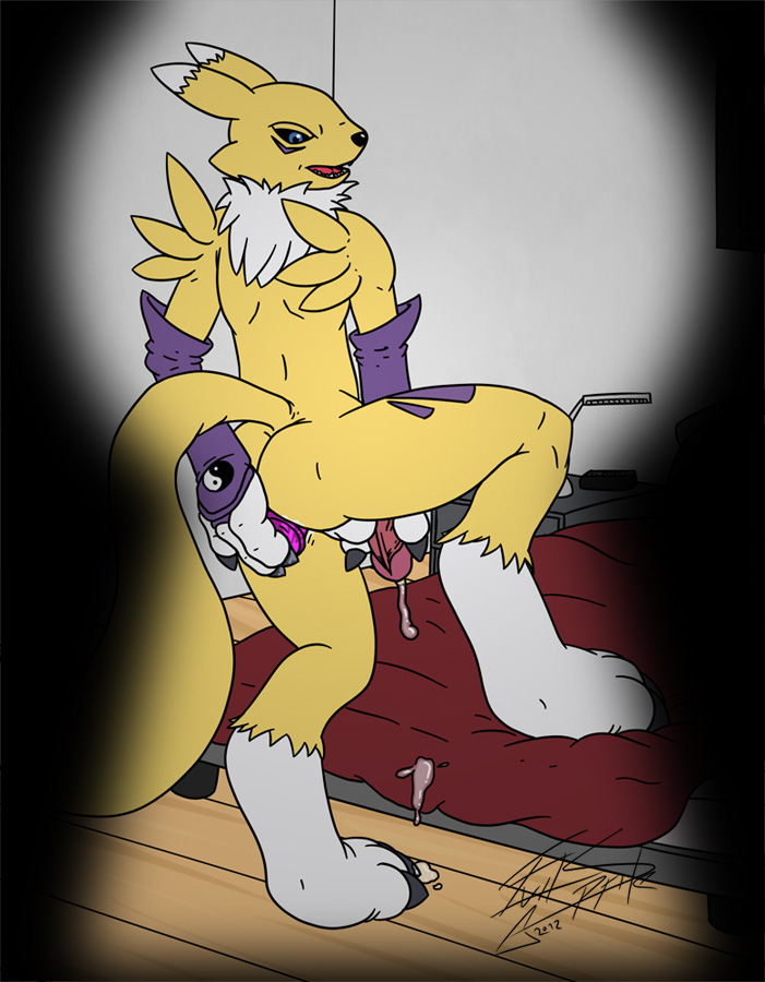 Rule34 – If it exists, there is porn of it / renamon / 34683