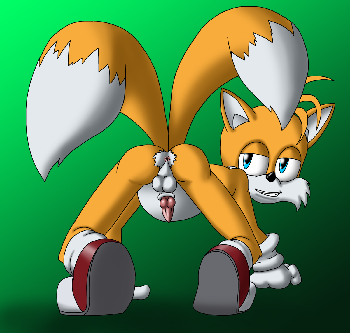 Rule34 – If it exists, there is porn of it / cobra mcjingleballs, tails / 35568