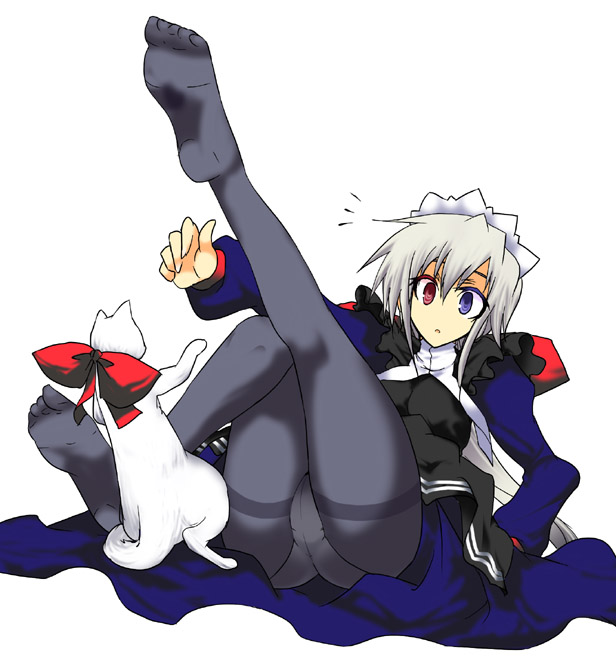 aoguu, itai, futaba channel, nijiura maids, bad id, bad pixiv id, 1girl, ass, black pantyhose, cat, crotch seam, falling, feet, female focus, heterochromia, maid, panties, panties under pantyhose, pantyhose, pantyshot, solo, thighband pantyhose, underwear, upskirt, white hair