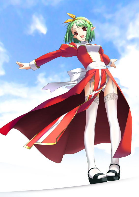 high priest (ragnarok online), ragnarok online, garter belt, lingerie, panties, pointy ears, priestess, solo, thighhighs, underwear