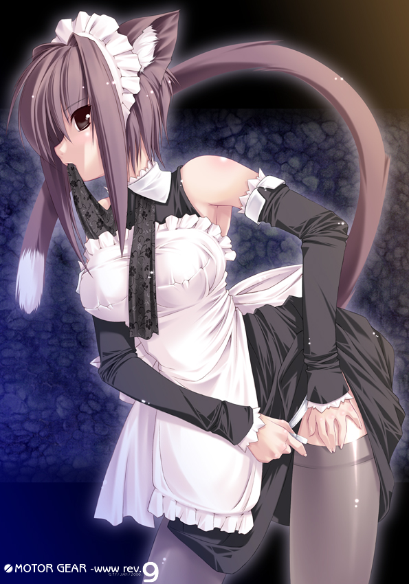 jian, 1girl, animal ears, cat ears, cat tail, elbow gloves, female focus, gloves, maid, solo, tail, thighhighs