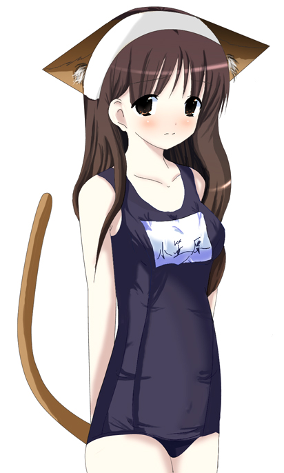 1girl, animal ears, cat ears, cat tail, female focus, name tag, one-piece swimsuit, school swimsuit, solo, swimsuit, tail