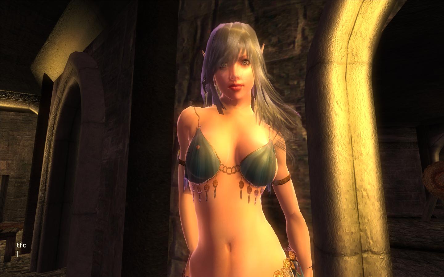the elder scrolls, the elder scrolls iv: oblivion, screencap, 3d, bikini, bikini top only, swimsuit