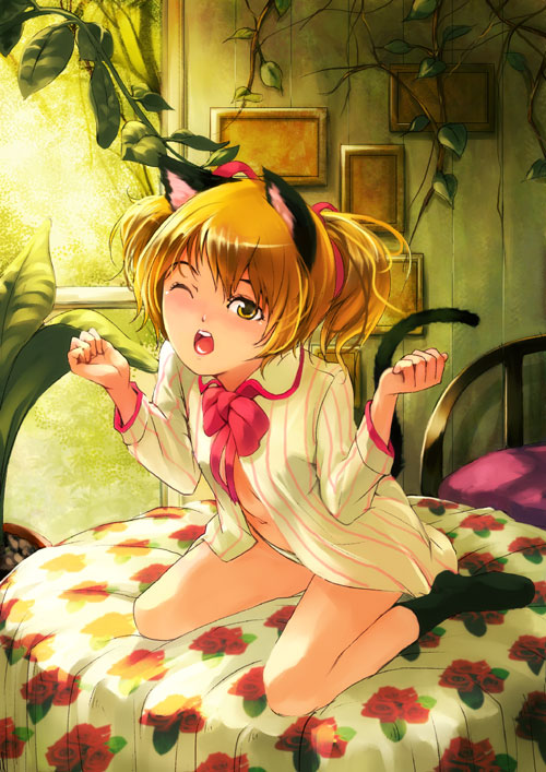 maimu, original, animal ears, cat ears, cat tail, open clothes, open shirt, shirt, solo, tail