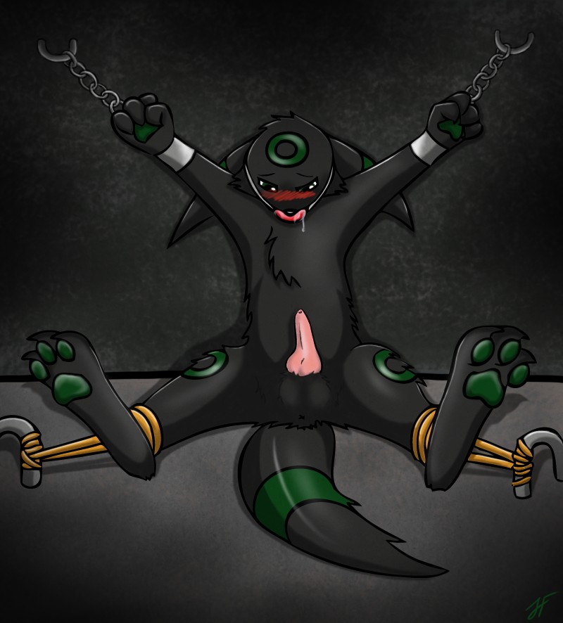 Rule34 – If it exists, there is porn of it / jerry, umbreon / 37491