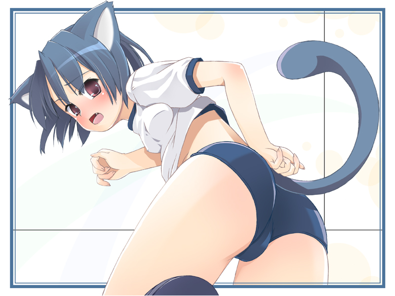 vanity doll, animal ears, ass, blue hair, blush, buruma, cat ears, cat tail, gym uniform, purple eyes, solo, tail