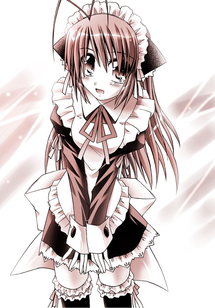 otoki raku, 1girl, animal ears, cat ears, female focus, maid, monochrome, pink theme, solo, thighhighs