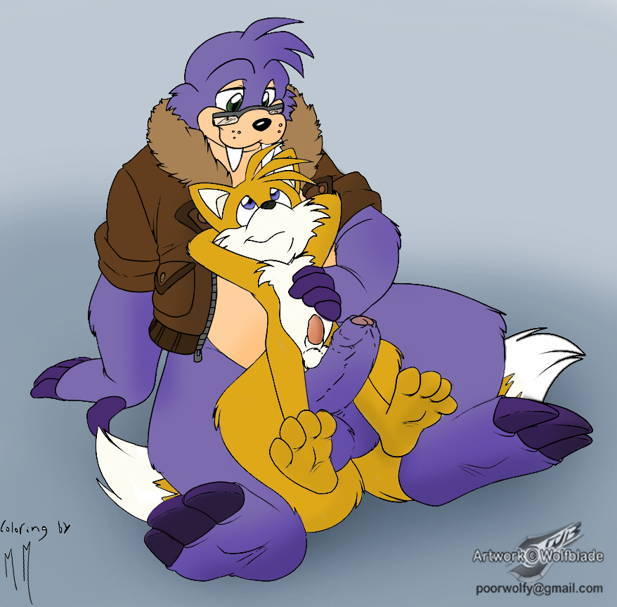 Rule34 – If it exists, there is porn of it / wolfblade, rotor the walrus, tails / 38157