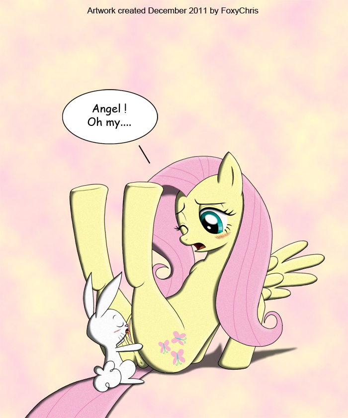 Rule34 – If it exists, there is porn of it / foxychris, angel (mlp), fluttershy (mlp) / 38351
