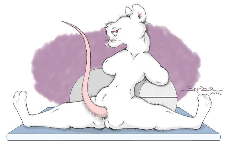 Rule34 – If it exists, there is porn of it / sherwood / 38686